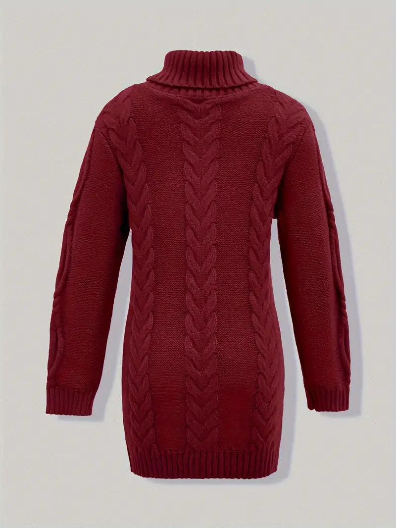 Chunky Cable Knit Turtleneck Dress