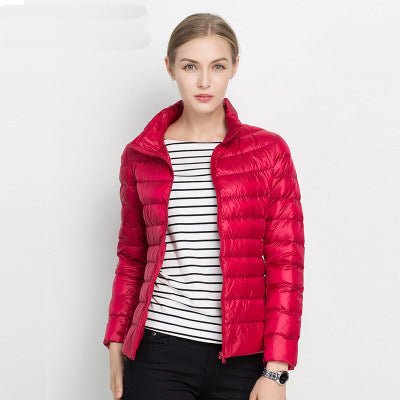 Slim Fit Puffer Winter Coat
